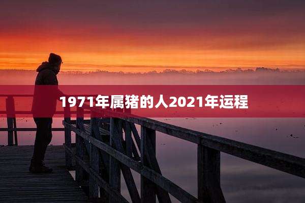 1971年属猪的人2021年运程