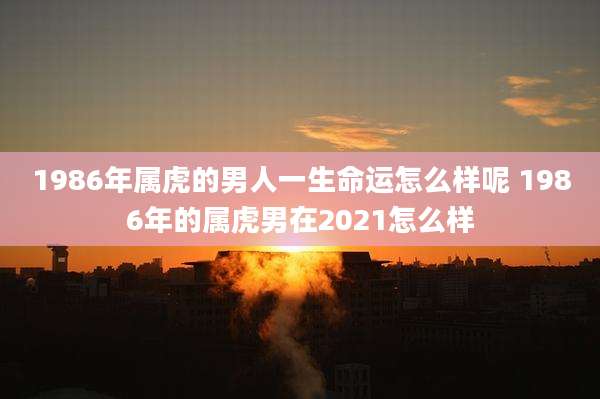 1986年属虎的男人一生命运怎么样呢 1986年的属虎男在2021怎么样