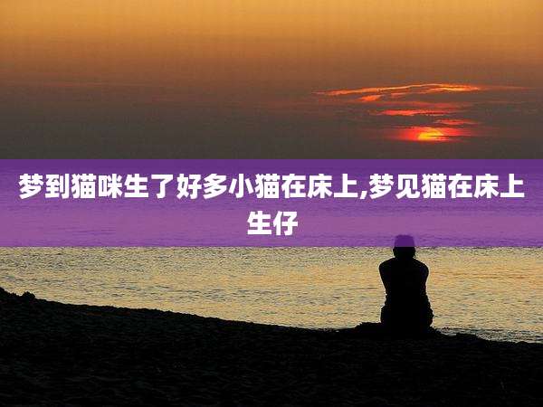 梦到猫咪生了好多小猫在床上,梦见猫在床上生仔