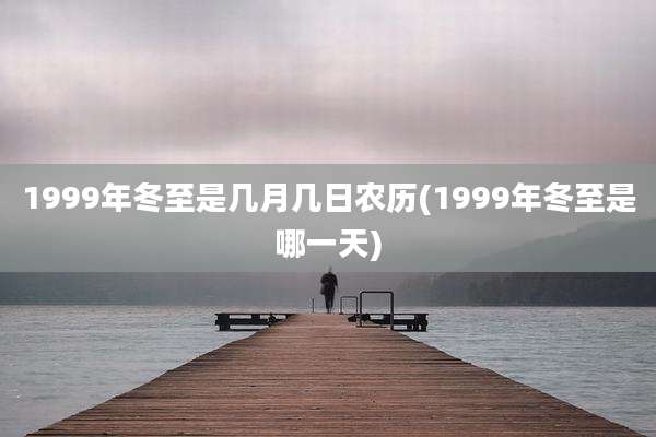 1999年冬至是几月几日农历(1999年冬至是哪一天)