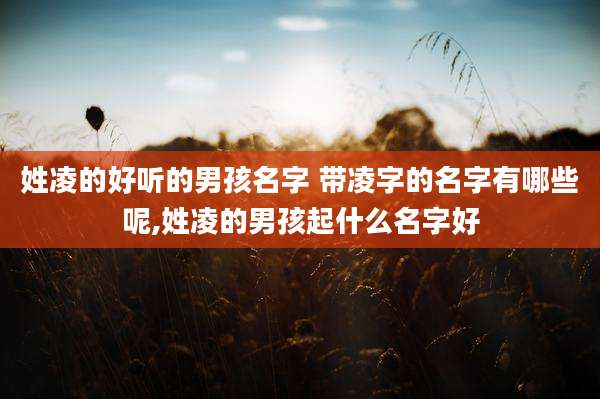 姓凌的好听的男孩名字 带凌字的名字有哪些呢,姓凌的男孩起什么名字好