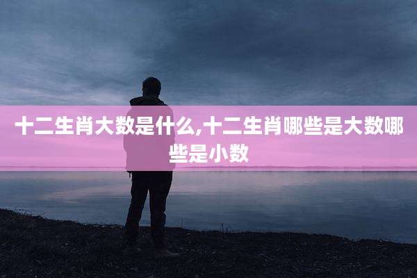 十二生肖大数是什么,十二生肖哪些是大数哪些是小数
