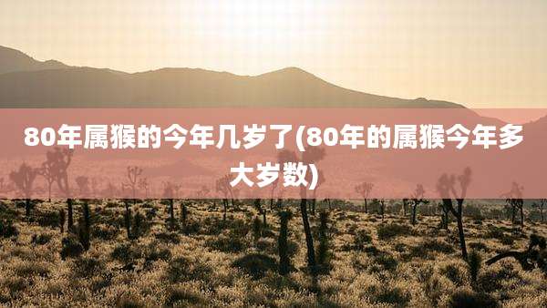 80年属猴的今年几岁了(80年的属猴今年多大岁数)