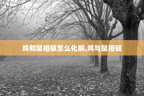 鸡和鼠相破怎么化解,鸡与鼠相破