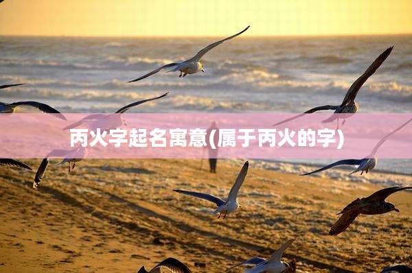 丙火字起名寓意(属于丙火的字)