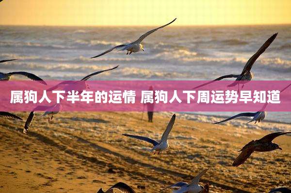 属狗人下半年的运情 属狗人下周运势早知道