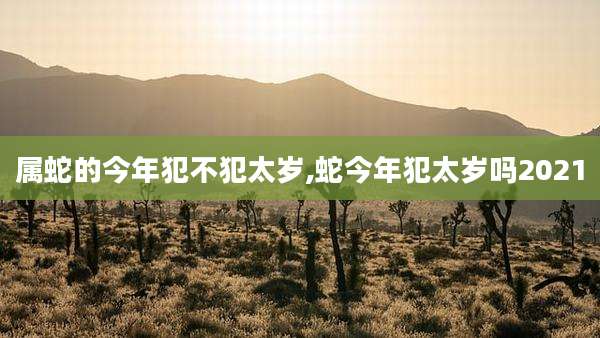 属蛇的今年犯不犯太岁,蛇今年犯太岁吗2021
