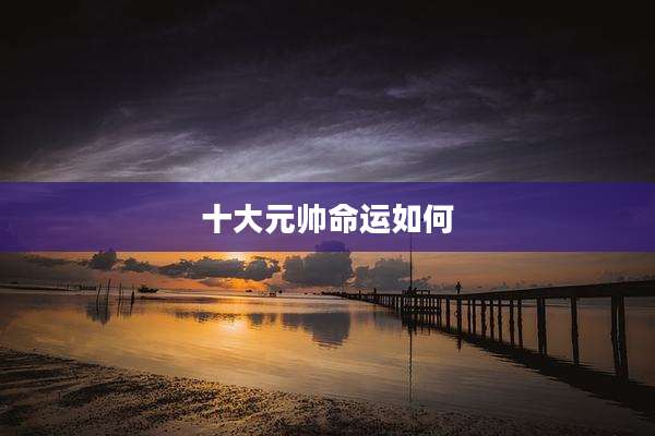十大元帅命运如何