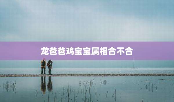 龙爸爸鸡宝宝属相合不合