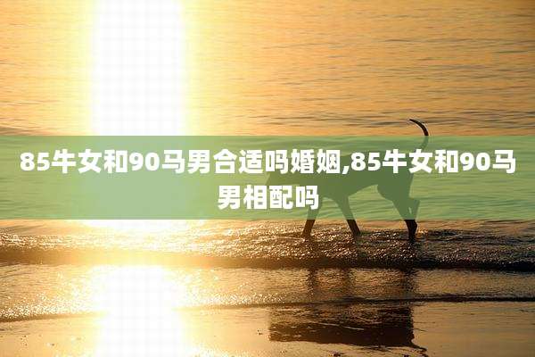 85牛女和90马男合适吗婚姻,85牛女和90马男相配吗