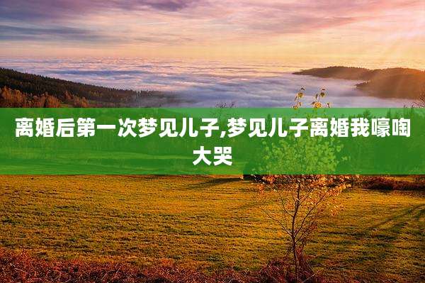 离婚后第一次梦见儿子,梦见儿子离婚我嚎啕大哭