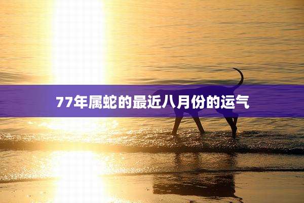 77年属蛇的最近八月份的运气