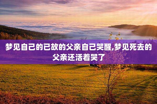 梦见自己的已故的父亲自己哭醒,梦见死去的父亲还活着哭了