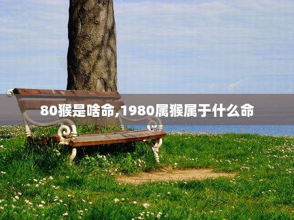 80猴是啥命,1980属猴属于什么命