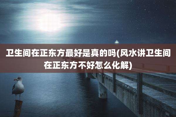 卫生间在正东方最好是真的吗(风水讲卫生间在正东方不好怎么化解)