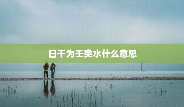 日干为壬癸水什么意思
