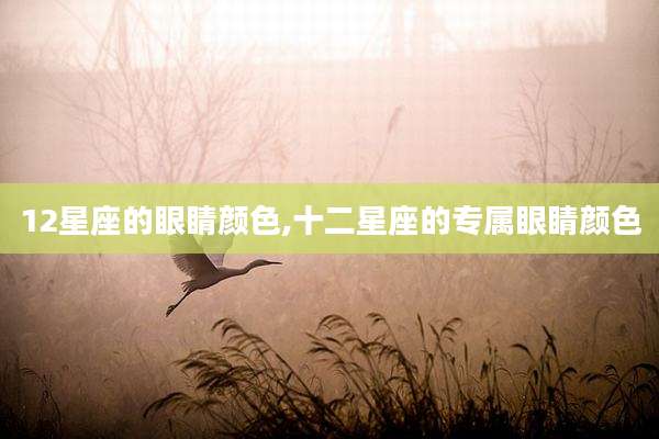 12星座的眼睛颜色,十二星座的专属眼睛颜色