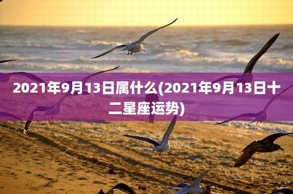2021年9月13日属什么(2021年9月13日十二星座运势)