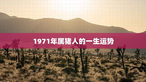 1971年属猪人的一生运势