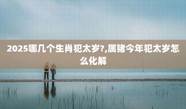 2025哪几个生肖犯太岁?,属猪今年犯太岁怎么化解