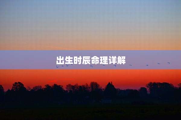 出生时辰命理详解