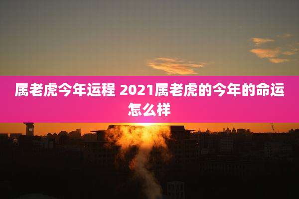 属老虎今年运程 2021属老虎的今年的命运怎么样
