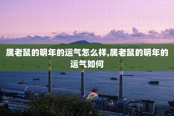 属老鼠的明年的运气怎么样,属老鼠的明年的运气如何