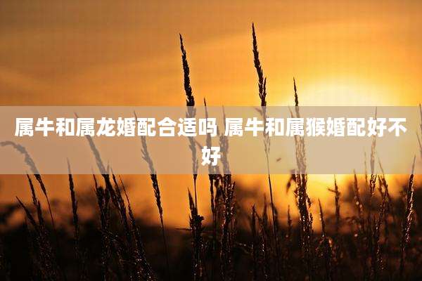 属牛和属龙婚配合适吗 属牛和属猴婚配好不好