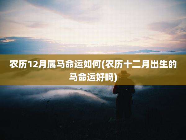 农历12月属马命运如何(农历十二月出生的马命运好吗)