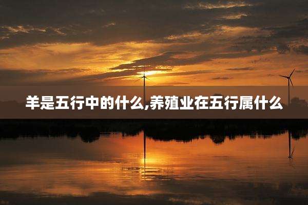 羊是五行中的什么,养殖业在五行属什么