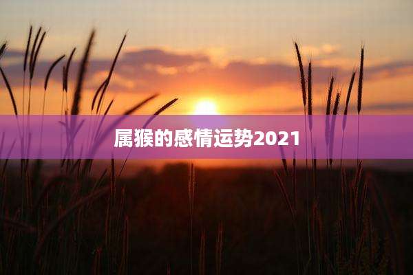 属猴的感情运势2021