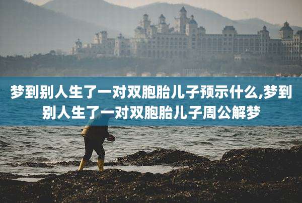 梦到别人生了一对双胞胎儿子预示什么,梦到别人生了一对双胞胎儿子周公解梦