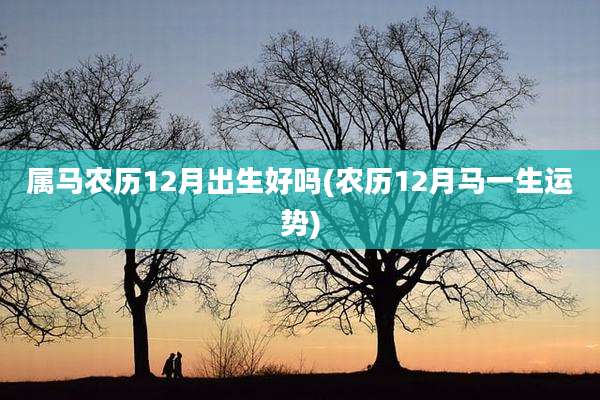 属马农历12月出生好吗(农历12月马一生运势)