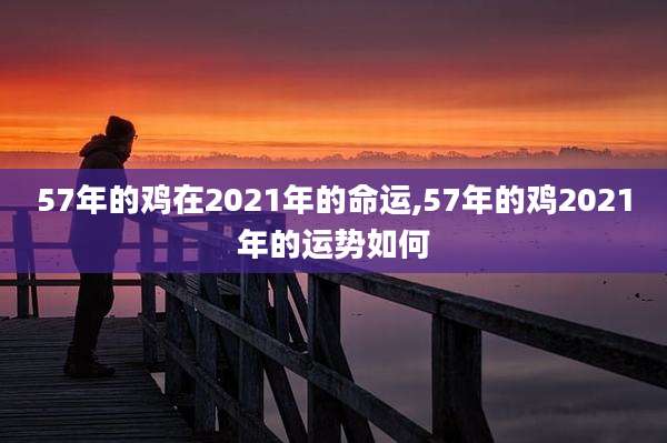 57年的鸡在2021年的命运,57年的鸡2021年的运势如何