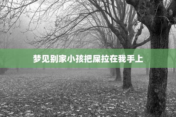 梦见别家小孩把屎拉在我手上