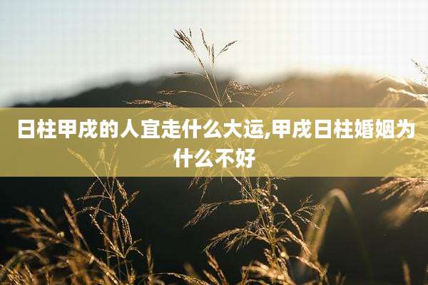 日柱甲戌的人宜走什么大运,甲戌日柱婚姻为什么不好