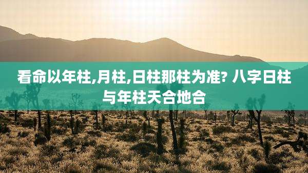 看命以年柱,月柱,日柱那柱为准? 八字日柱与年柱天合地合