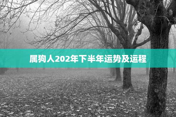 属狗人202年下半年运势及运程