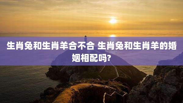 生肖兔和生肖羊合不合 生肖兔和生肖羊的婚姻相配吗?