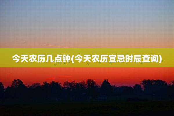 今天农历几点钟(今天农历宜忌时辰查询)