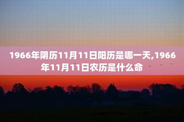 1966年阴历11月11日阳历是哪一天,1966年11月11日农历是什么命