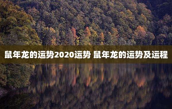 鼠年龙的运势2020运势 鼠年龙的运势及运程