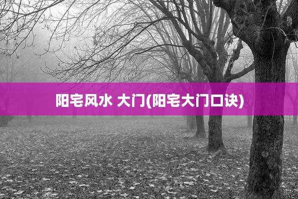 阳宅风水 大门(阳宅大门口诀)