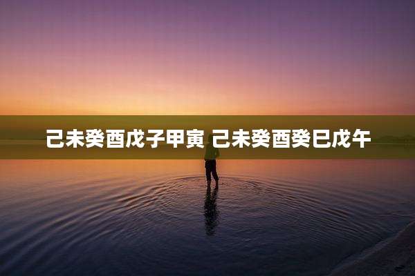 己未癸酉戊子甲寅 己未癸酉癸巳戊午