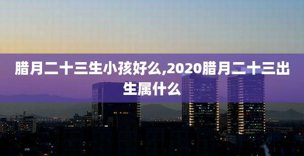 腊月二十三生小孩好么,2020腊月二十三出生属什么