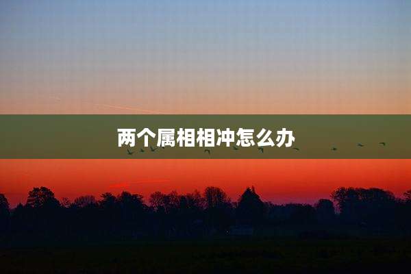两个属相相冲怎么办