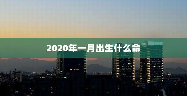 2020年一月出生什么命