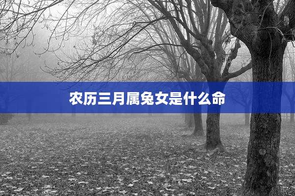 农历三月属兔女是什么命