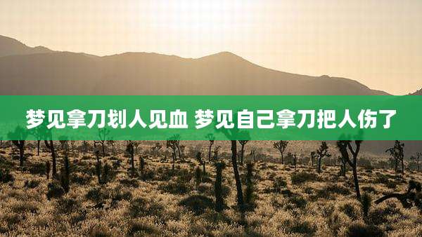 梦见拿刀划人见血 梦见自己拿刀把人伤了