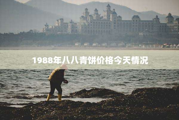 1988年八八青饼价格今天情况